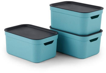 Rotho Jive 26x18x13cm 5L 3 Stk. himmelblau