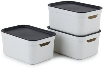 Rotho Jive 26x18x13cm 5L 3 Stk. mistelzweig-wei&szlig;