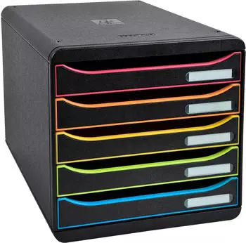 Exacompta Box BIG-BOX PLUS DIN A4 5 Schubladen (309914D)