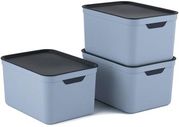 Rotho Dekobox 16L 3 Stk.