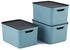 Rotho Dekobox 16L 3 Stk.