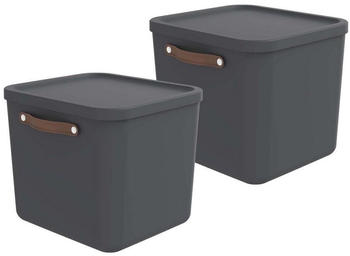 Rotho Maloja 38x39,5x34cm 40L 2 Stk. holzkohle-schwarz