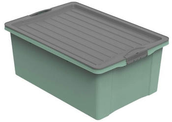 Rotho Compact 38L mistelzweig