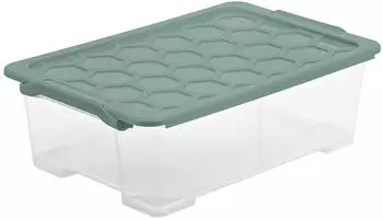 Rotho Evo Safe 30L transparent/mistelzweig