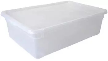 Rotho Clear Box 22L (1438400096)
