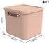 Rotho Maloja 38x39,5x34cm 40L 2 Stk. wiesenrose