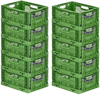 Proregal Chameleon 18x30x40cm 10 Stk. (RMK300-04)