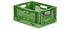Proregal Chameleon 18x30x40cm 10 Stk. (RMK300-04)