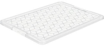 Rotho Deckel f&uuml;r Evo Easy 79,1x59,3cm (1015100096)