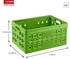 Sunware Klappbox Square, 57300661, 46 Liter, grün, 54 x 38 x 26,5 cm