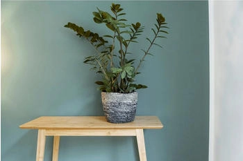 Wenko Aufbewahrungskorb Coppitella Blau 100% Naturfaser
