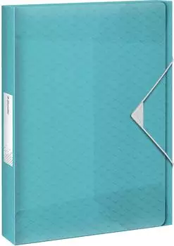 Esselte 5 x Ablagebox Colour'Ice A4 PP 40mm blau