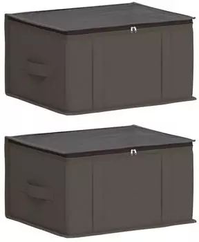 vidaXL Aufbewahrungsbox mit transparentem Oberfenster 2 pcs Grau