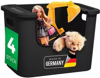 Novaliv Aufbewahrungsbox Bad- & Kleiderschrank-Organizer schwarz, 4er-Set (30953-4x)
