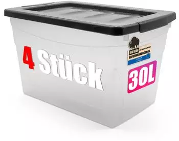 BigDean Aufbewahrungsbox mit Deckel Budget Line 30L, 4er-Set (1000894)
