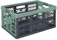 "keeeper Profi-Klappbox "ben", 45 Liter, nordic-green"