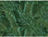 Siena Garden Prime Dekokissen 45x45cm grün (M06818)
