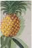 beo Sitzauflage Niedriglehner Treffelstein 6er-Set Ananas-Motiv