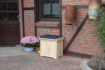 Promex Patrick Kissenbox 56 x 43 x 56 cm mit Sitzauflage blau