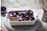 Le Creuset Auflaufform Tradition, rechteckig in karibik (19 x 14 cm / 1,1 Liter)