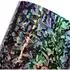LuxusKollektion Autofolie Forged Carbon Regenbogen-Effekt, schwarz/silber, 75x152cm