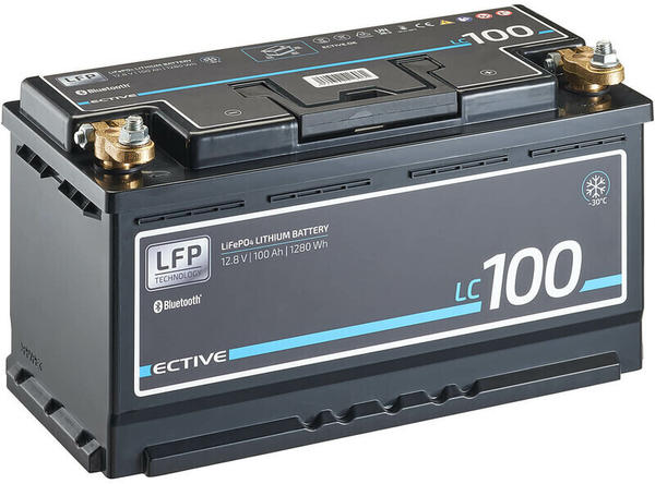 Ective Batteries LT 100 LT 100Ah