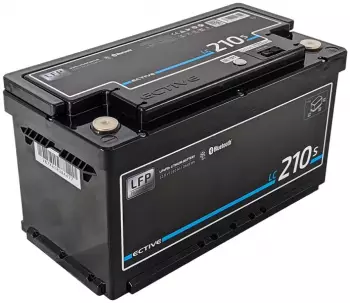 Ective Batteries LC 210s LT LiFePO4 Versorgungsbatterie 210Ah (LT210s)