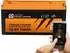 Liontron Lithium LiFePO4 LX Smart BMS 12,8V 100Ah (LI-SMART-LX-12-100)