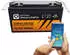 Liontron Lithium LiFePO4 LX Smart BMS 12,8V 100Ah (LI-SMART-LX-12-100)