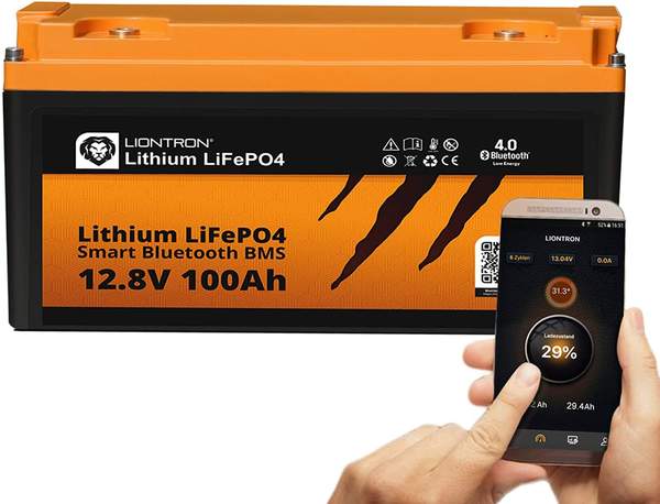 Liontron Lithium LiFePO4 LX Smart BMS 12,8V 100Ah (LI-SMART-LX-12-100)