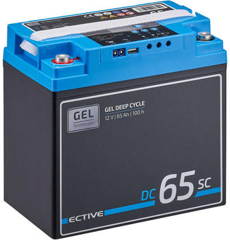 Ective Batteries Deep Cycle GEL 12V 65Ah