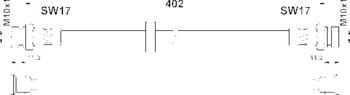 ATE 83.6236-0402.3 Bremsschlauch