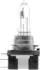Hella Glühlampe Hauptscheinwerfer STANDARD 1x 8GH 217 337-101