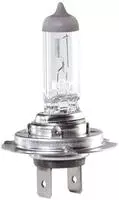 Magneti Marelli Gl&uuml;hlampe, Fernscheinwerfer STANDARD 002558100000