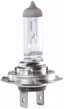 Magneti Marelli Gl&uuml;hlampe 24V f&uuml;r RENAULT HYUNDAI FIAT DAF MERCEDES-BENZ TOFAS FORD MAN VOLVO MASERATI 002558100000