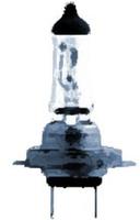 Philips Gl&uuml;hlampe, Fernscheinwerfer MasterDuty BlueVision 13972MDBVS2