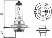 Hella Gl&uuml;hlampe, Fernscheinwerfer STANDARD 8GH 007 157-121