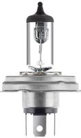 Hella Gl&uuml;hlampe, Hauptscheinwerfer STANDARD 8GJ 004 173-121