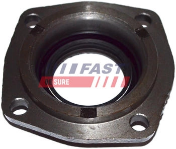 Fast Wellendichtring Differential Getriebeseitig (FT49838)