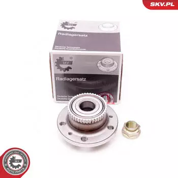 ESEN SKV Radlagersatz hinten für Renault (29SKV160)