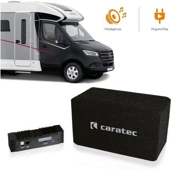caratec Audio Soundsystem CAS213S