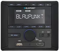 Blaupunkt BPA 3022 M Autoradio DAB+ Tuner, inkl. DAB-Antenne, inkl. Fernbedienung