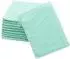 ZOLLNER 10er Set Waschlappen 100% Baumwolle mint 16x21cm (00000064-368)
