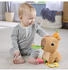 Fisher-Price Kuschel-Capybara