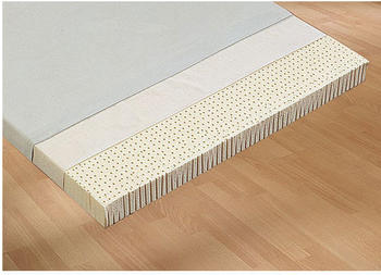 Hevea Kindermatraze Naturlatexkern LSG 123