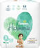 Pampers Harmonie Gr. 3 (6-10 kg)