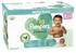 Pampers Harmonie Gr. 4 (9-14 kg)