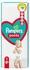 Pampers Baby Dry Pants Gr. 5 (12-17 kg) 48 St.