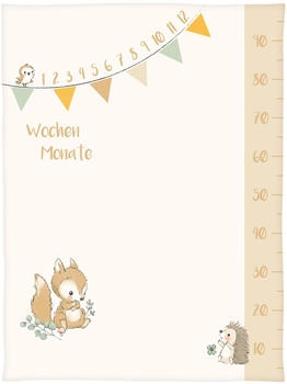Baby Best Kuscheldecke mit Meilensteinen 75 x 100 cm Waldfreunde