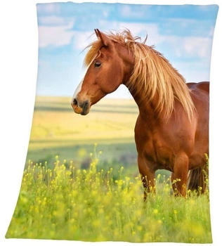 Herding Kinder-Fleecedecke Pferd bunt/gr&uuml;n/blau/braun-beige/gr&uuml;n 130x160 cm